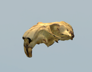 jkkWpbKq4l.png