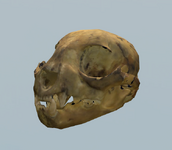 9wFV2eOs2d.png