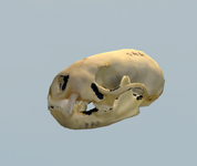 zhahxgfCMe.png