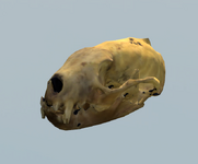 BEqAIc2gVa.png