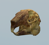 e8eSK1xo4l.png