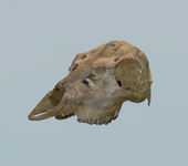 fO7ypQAeie.png