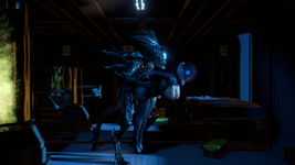 9.png