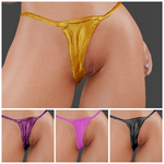 Panties3.png
