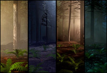 ForestQuad.jpg