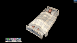 Resise Duvet.gif
