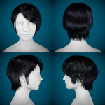 Hairstyle 1.png