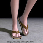 Flipflops003.jpg