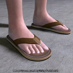Flipflops002.jpg
