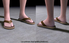 Flipflops001.jpg