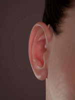 DeepSkin_compare.gif