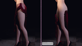 Flamenco-4.png