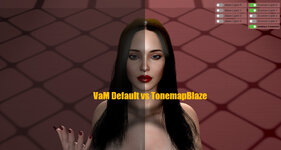 14mhz.Plugin-TonemapBlaze.1b.jpg