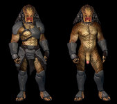 predator1.jpg