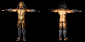 predator2.jpg