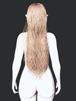 1786113216.png