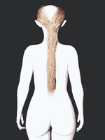 1786113231.png