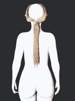 1786113241.png