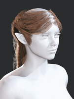 1786113315.png
