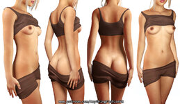 BrownTopShort3.jpg