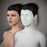 Hair Icon.png