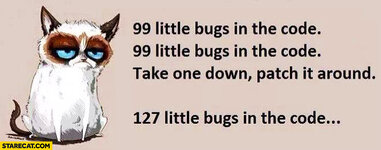 99-little-bugs-in-the-code.jpg
