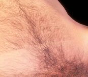 1787614001401.png