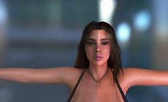 preview.png