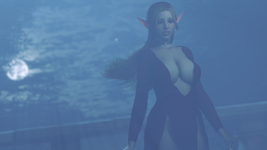 1788008035.png