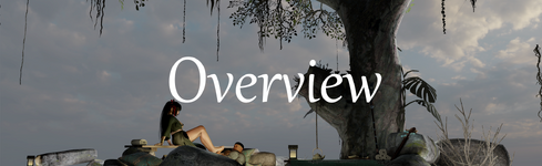 fog overview.png