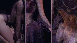 Laceia-4.png