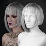 Hair Icon.png