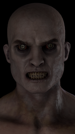 1789660144.png