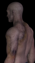1789660380.png