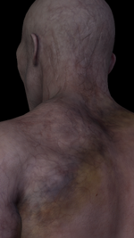 1789660447.png