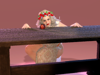 1790193103.png