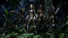 jungle.png