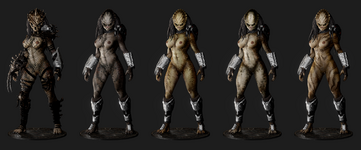 skins.png
