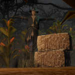 1791491374.png