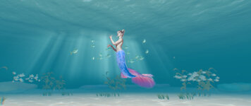 Env_Aqua 01.jpg