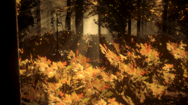 1791908495.png