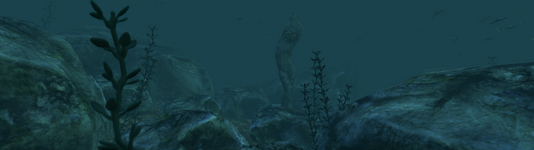 1793142424.png