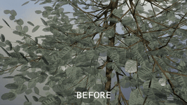 CutOUtFix Before and After (1).gif