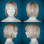 Plantilla Hairstyle.png