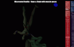 rope-chain-21-poses2-text-centered.gif