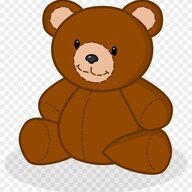 Teddy bear