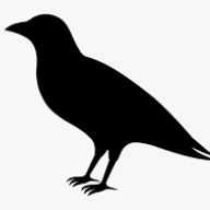 Anonymous Crow