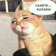yannei