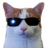 KapTowKaFpu