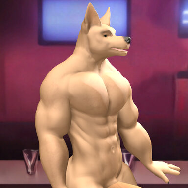 Anthro Furry Wolf Look Malik